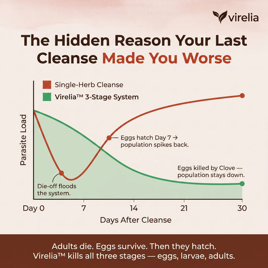 Black Walnut Wormwood Clove Parasite Cleanse